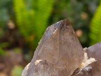 Natural Smokey Quartz And Aegirine Crystals x 6 From Mulanje, Malawi