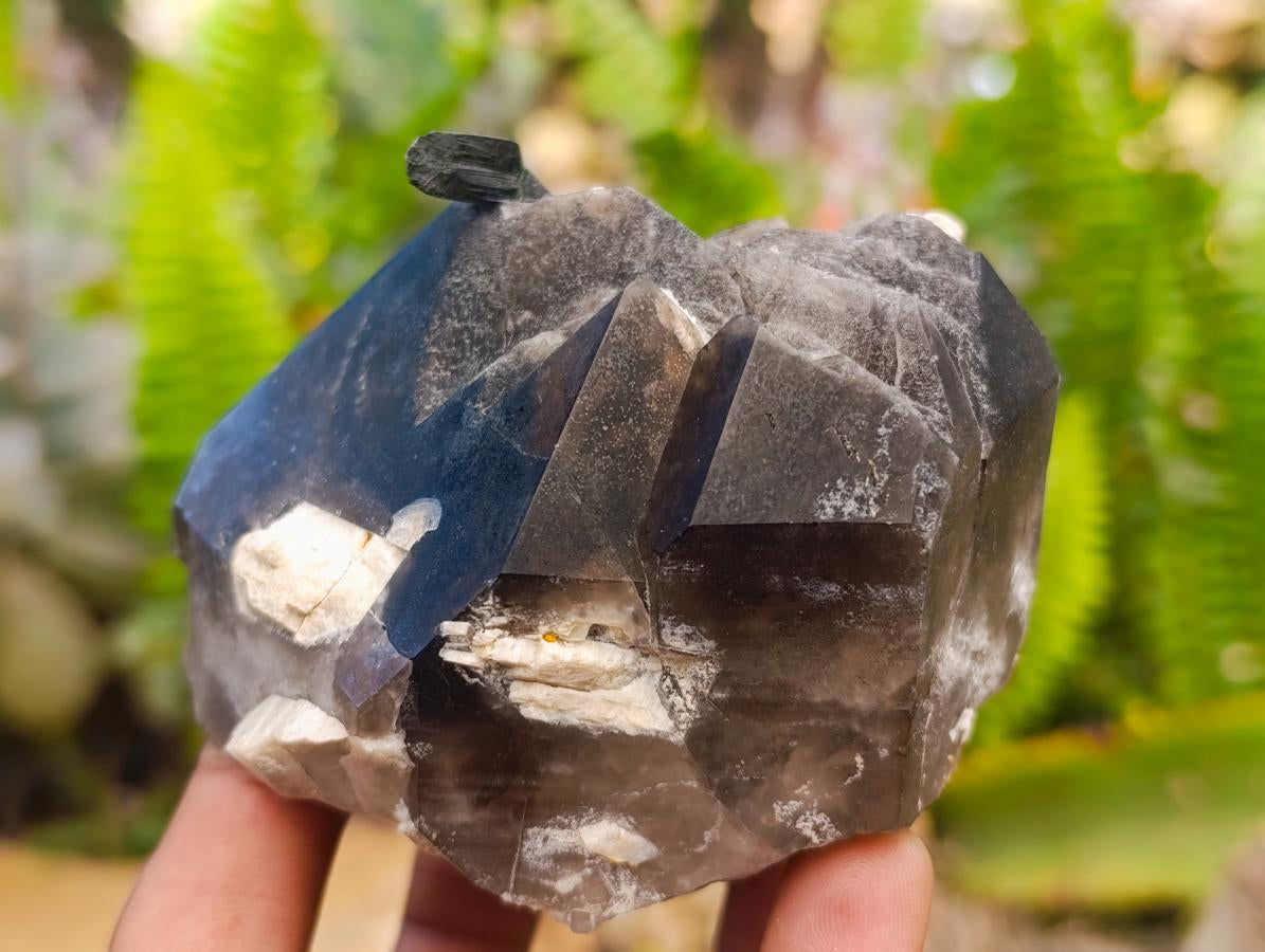 Natural Smokey Quartz And Aegirine Crystals x 6 From Mulanje, Malawi