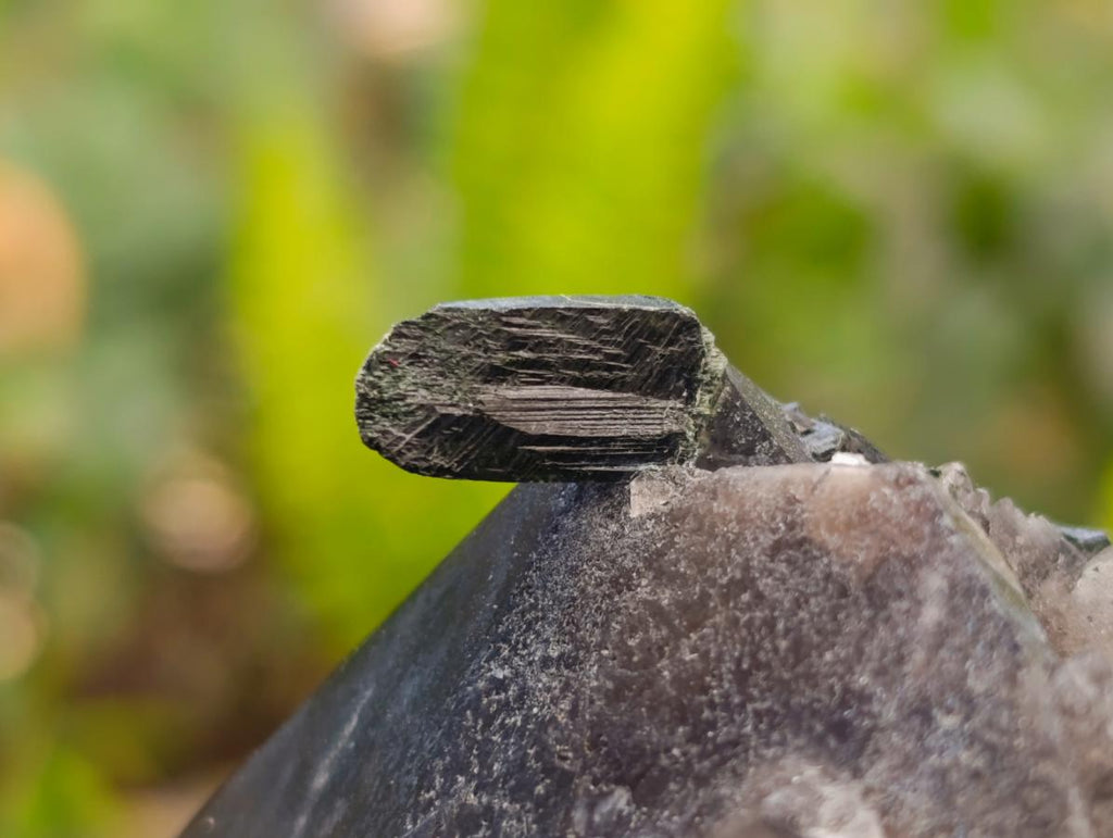 Natural Smokey Quartz And Aegirine Crystals x 6 From Mulanje, Malawi