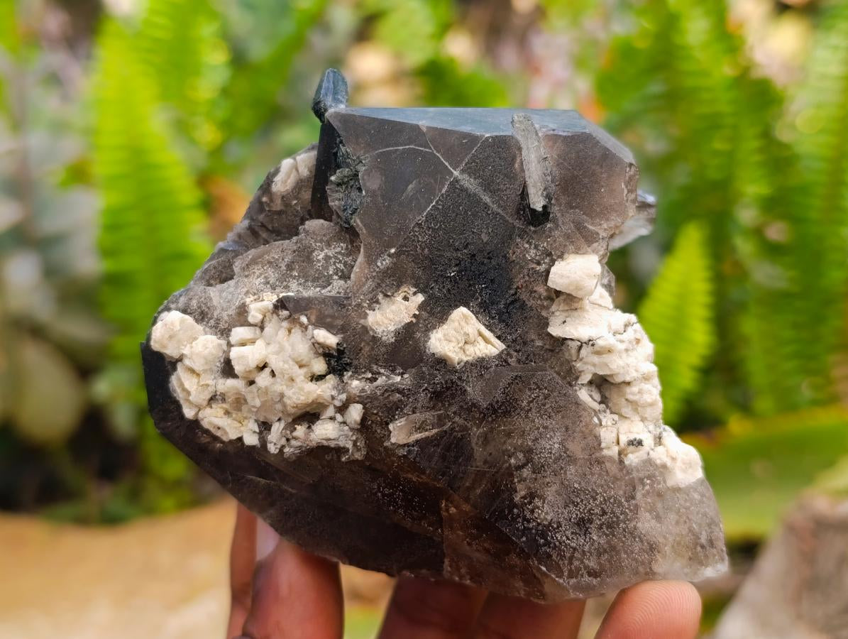 Natural Smokey Quartz And Aegirine Crystals x 6 From Mulanje, Malawi