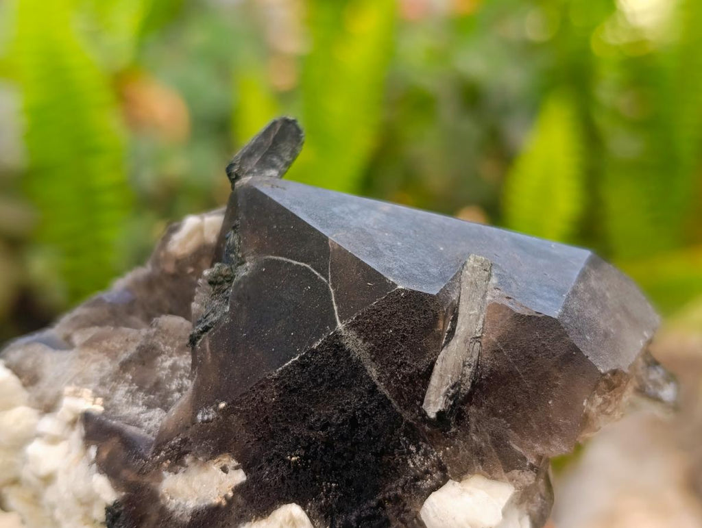 Natural Smokey Quartz And Aegirine Crystals x 6 From Mulanje, Malawi