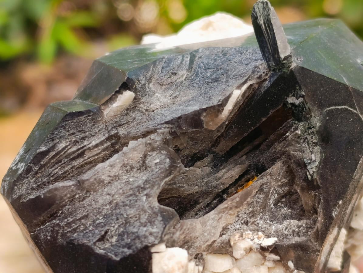 Natural Smokey Quartz And Aegirine Crystals x 6 From Mulanje, Malawi