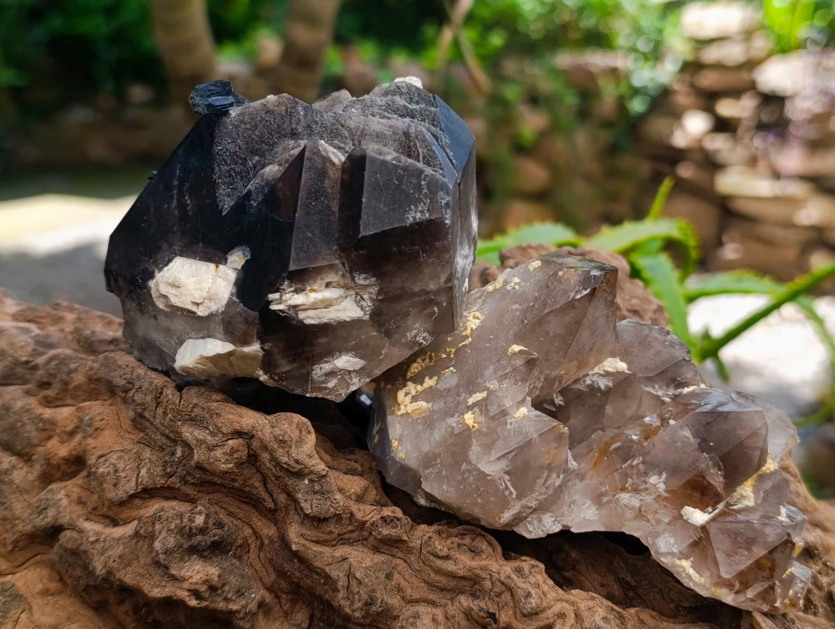 Natural Smokey Quartz And Aegirine Crystals x 6 From Mulanje, Malawi
