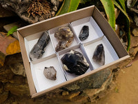Natural Smokey Quartz And Aegirine Crystals x 6 From Mulanje, Malawi