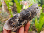 Natural Smokey Quartz And Aegirine Crystals x 6 From Mulanje, Malawi