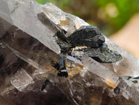 Natural Smokey Quartz And Aegirine Crystals x 6 From Mulanje, Malawi