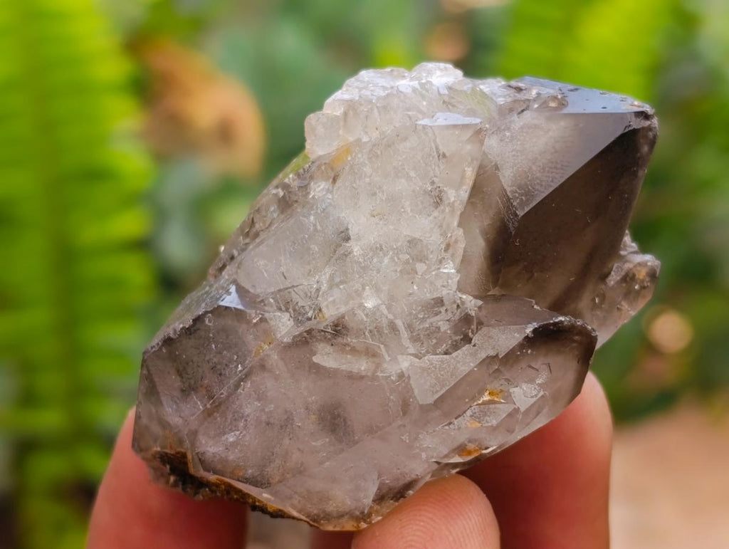 Natural Smokey Quartz And Aegirine Crystals x 6 From Mulanje, Malawi
