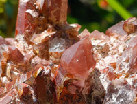 Natural Multi Mineral Specimens x 16 From Southern Africa