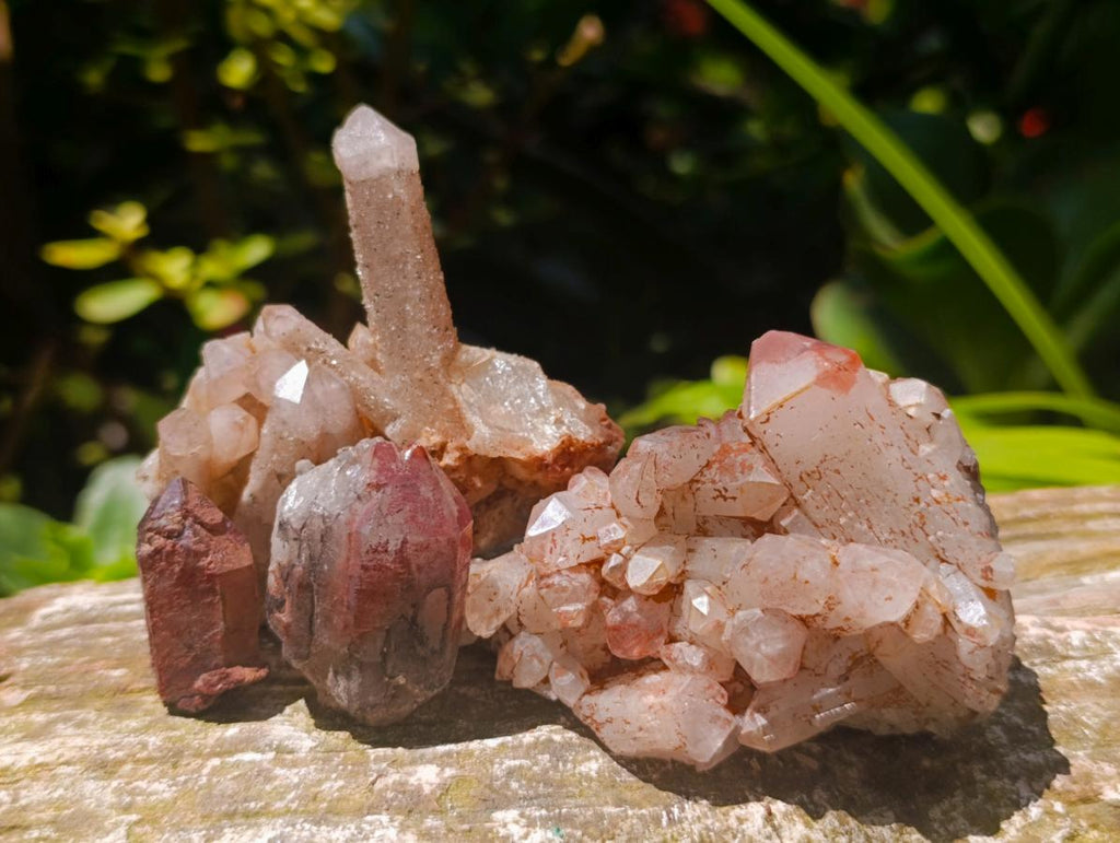 Natural Multi Mineral Specimens x 16 From Southern Africa