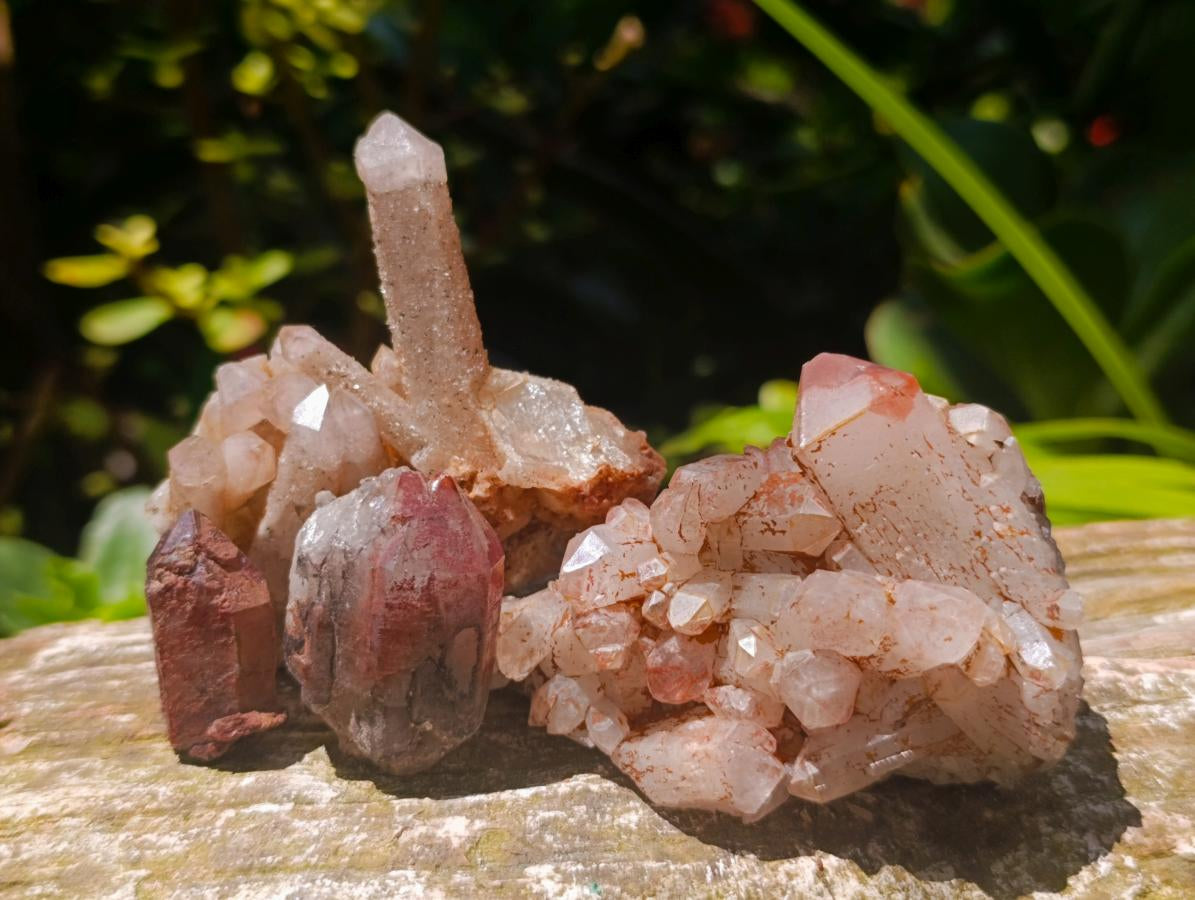 Natural Multi Mineral Specimens x 16 From Southern Africa