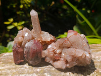 Natural Multi Mineral Specimens x 16 From Southern Africa