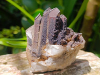 Natural Multi Mineral Specimens x 16 From Southern Africa