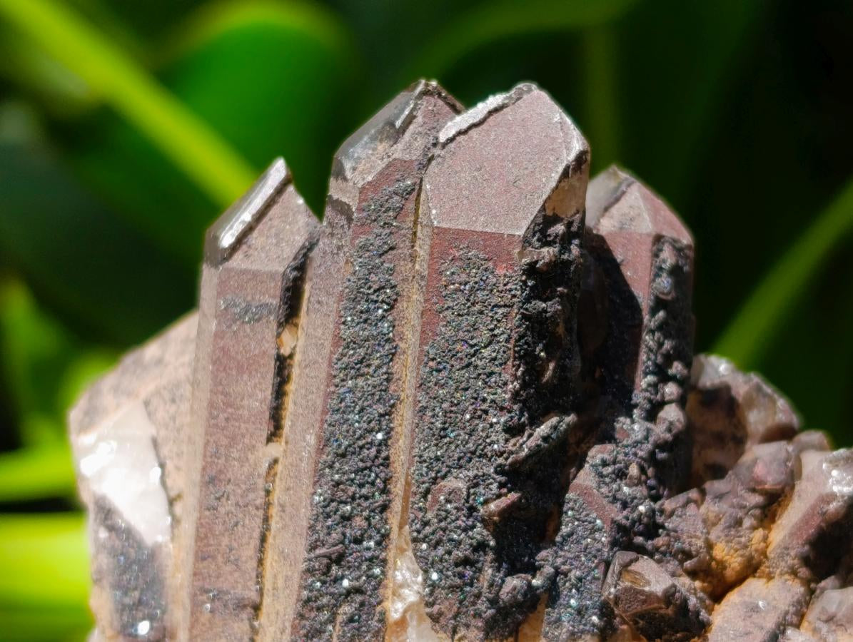 Natural Multi Mineral Specimens x 16 From Southern Africa