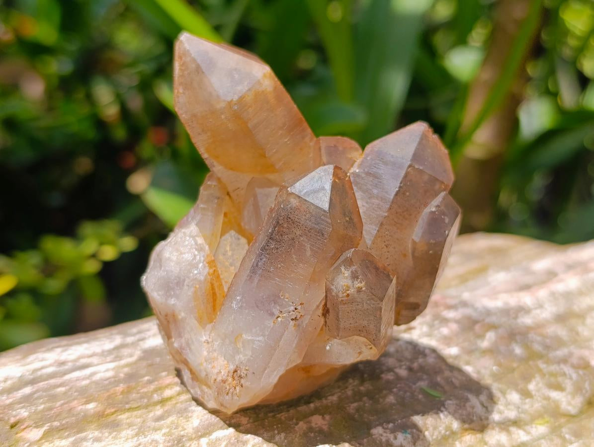 Natural Multi Mineral Specimens x 16 From Southern Africa