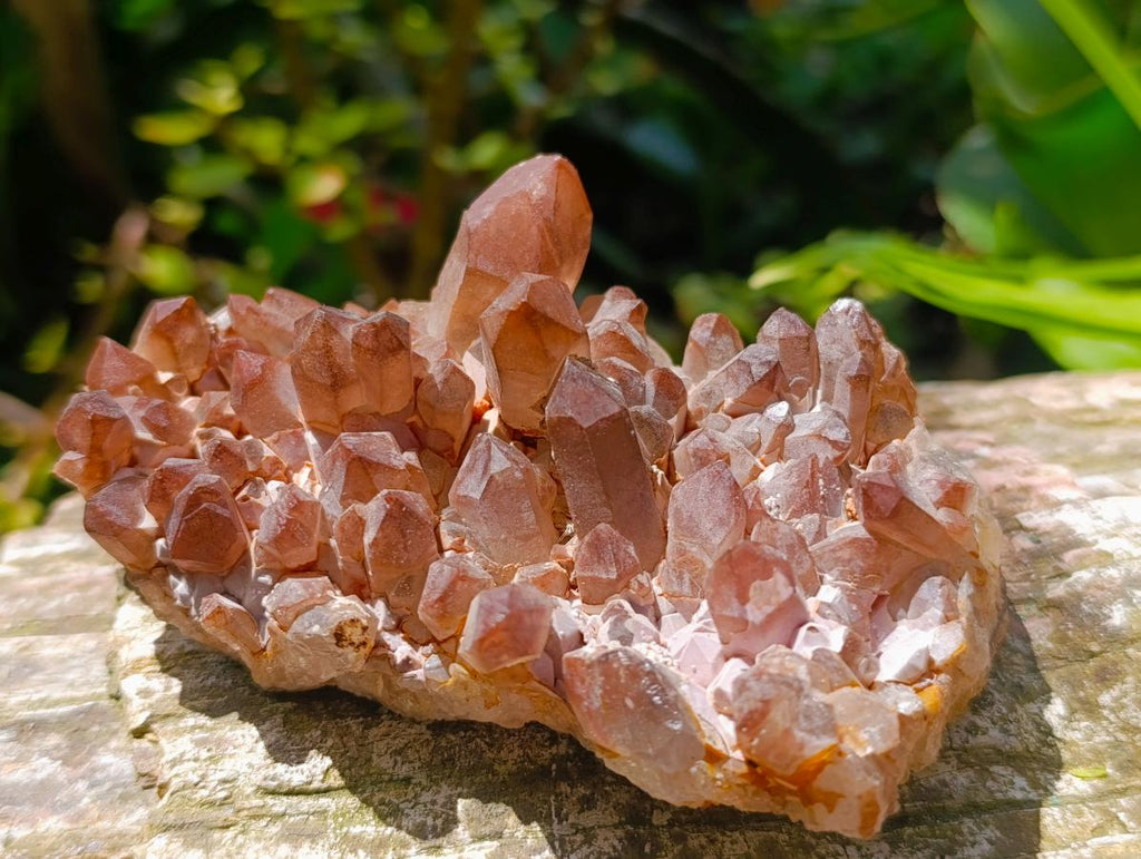 Natural Multi Mineral Specimens x 16 From Southern Africa