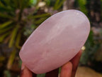 Polished Gemmy Rose Quartz Standing Free Forms x 6 From Madagascar
