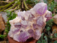 Natural Jacaranda Amethyst Crystal Cluster x 1 From Mumbwa, Zambia