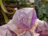 Natural Jacaranda Amethyst Crystal Cluster x 1 From Mumbwa, Zambia