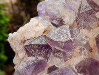 Natural Jacaranda Amethyst Crystal Cluster x 1 From Mumbwa, Zambia