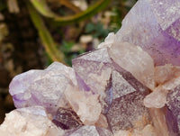 Natural Jacaranda Amethyst Crystal Cluster x 1 From Mumbwa, Zambia