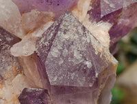 Natural Jacaranda Amethyst Crystal Cluster x 1 From Mumbwa, Zambia