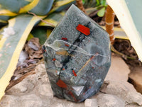 Polished Bloodstone Point x 1 From Swaziland