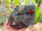 Polished Bloodstone Point x 1 From Swaziland