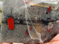 Polished Bloodstone Point x 1 From Swaziland