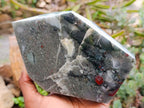 Polished Bloodstone Point x 1 From Swaziland