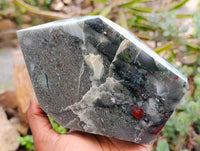 Polished Bloodstone Point x 1 From Swaziland