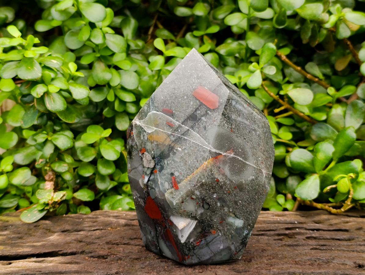 Polished Bloodstone Point x 1 From Swaziland