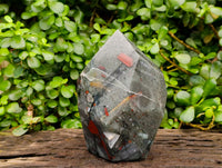 Polished Bloodstone Point x 1 From Swaziland