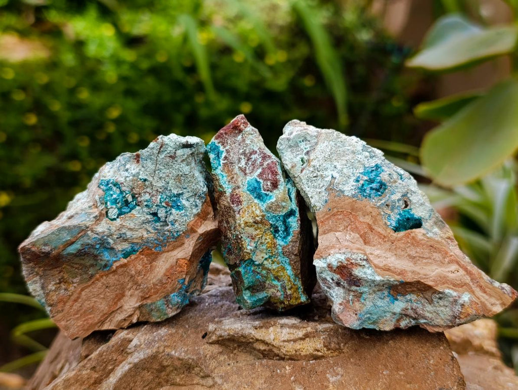 Natural Dioptase with Malachite Specimens x 7 From Kaokoveld Namibia