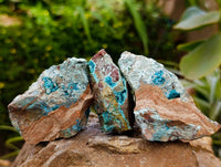 Natural Dioptase with Malachite Specimens x 7 From Kaokoveld Namibia