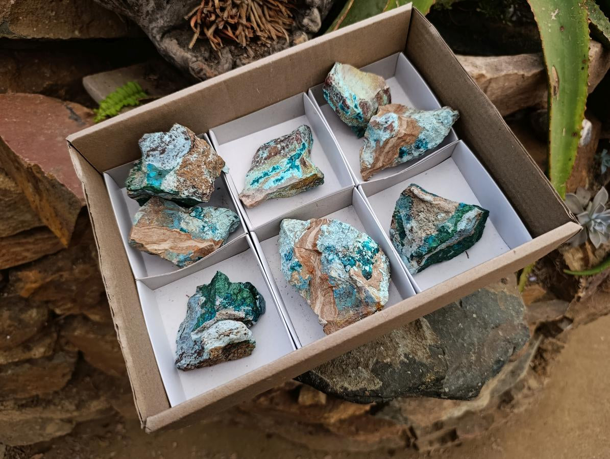 Natural Dioptase with Malachite Specimens x 7 From Kaokoveld Namibia
