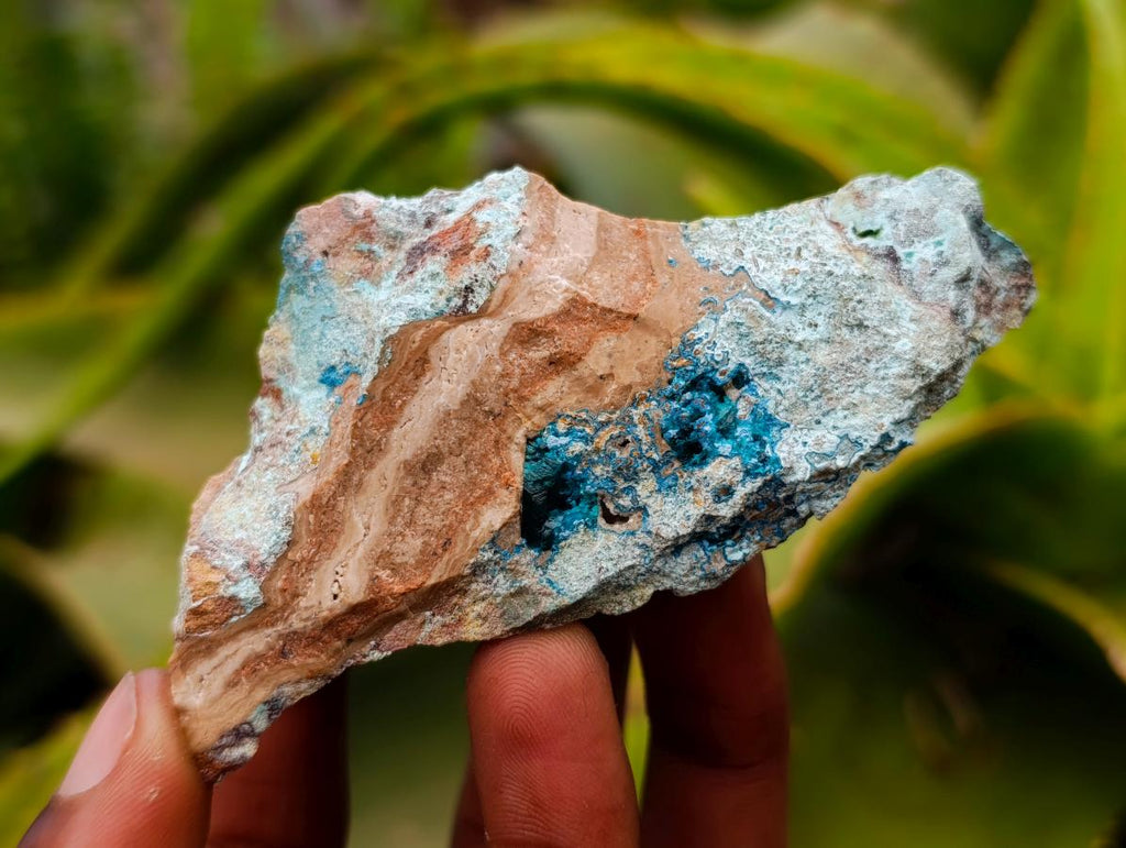 Natural Dioptase with Malachite Specimens x 7 From Kaokoveld Namibia