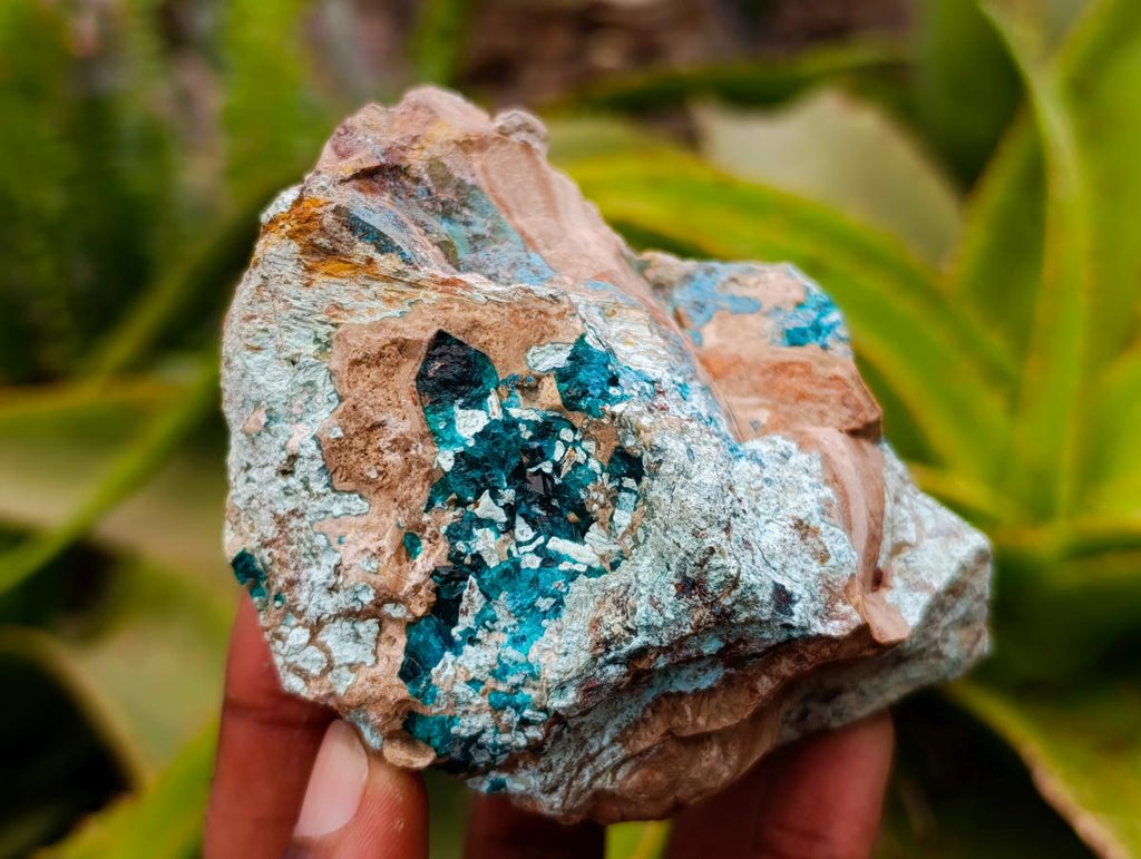 Natural Dioptase with Malachite Specimens x 7 From Kaokoveld Namibia