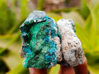 Natural Dioptase with Malachite Specimens x 7 From Kaokoveld Namibia