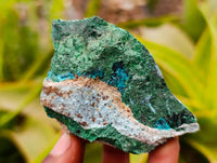 Natural Dioptase with Malachite Specimens x 7 From Kaokoveld Namibia