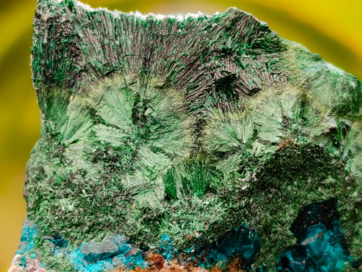 Natural Dioptase with Malachite Specimens x 7 From Kaokoveld Namibia