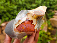 Polished Polychrome Jasper Flames x 3 From NW Coast, Madagascar