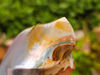 Polished Polychrome Jasper Flames x 3 From NW Coast, Madagascar