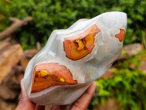 Polished Polychrome Jasper Flames x 3 From NW Coast, Madagascar