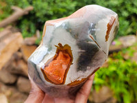 Polished Polychrome Jasper Flames x 3 From NW Coast, Madagascar