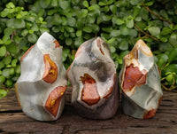 Polished Polychrome Jasper Flames x 3 From NW Coast, Madagascar