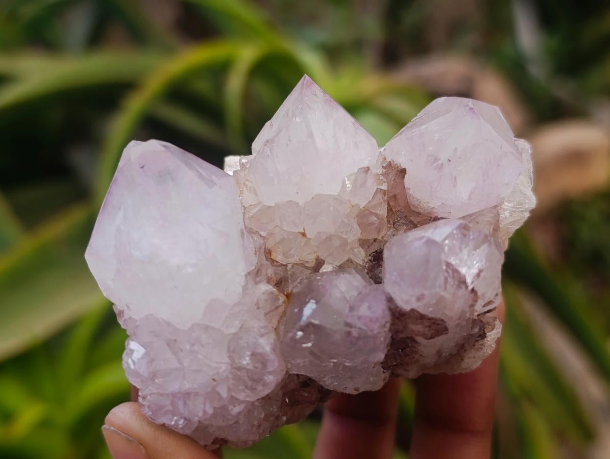 Natural Mauve Red Tinted Spirit Quartz Clusters x 12 From Boekenhouthoek, South Africa