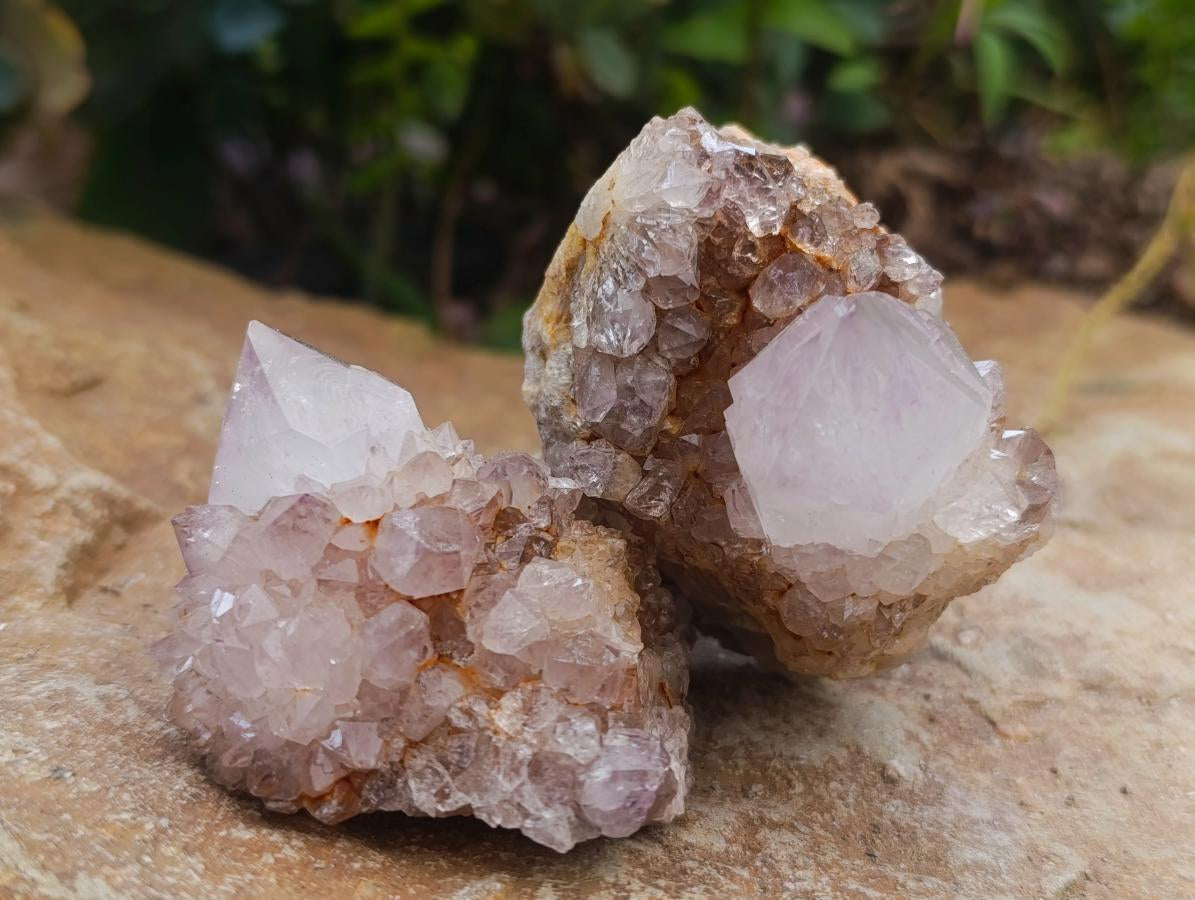 Natural Mauve Red Tinted Spirit Quartz Clusters x 12 From Boekenhouthoek, South Africa