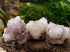 Natural Mauve Red Tinted Spirit Quartz Clusters x 12 From Boekenhouthoek, South Africa