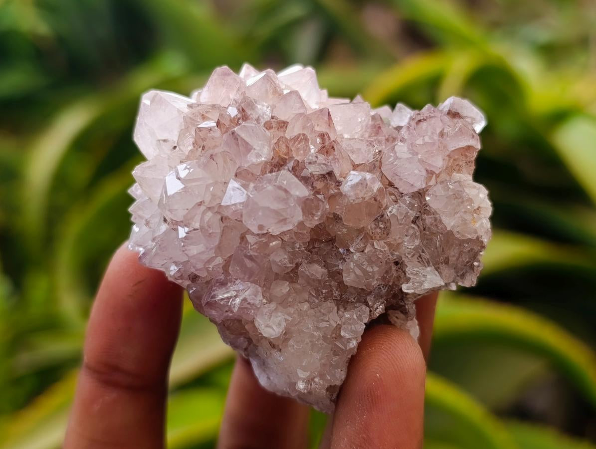 Natural Mauve Red Tinted Spirit Quartz Clusters x 12 From Boekenhouthoek, South Africa