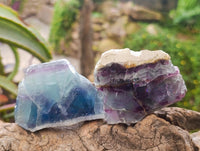 Polished On One Side Watermelon Fluorite Slices x 12 From Uis, Namibia